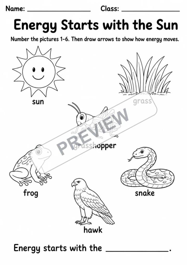 Food Chains and Food Webs Pack | 7 Worksheets | Grades 3-5 watermarked worksheet preview