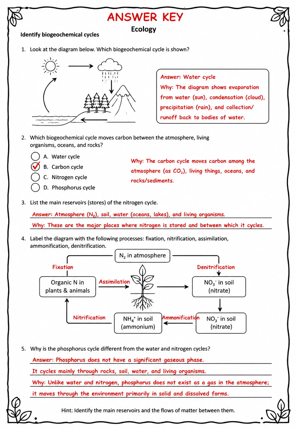 Answer key for Identify biogeochemical cycles — free printable Science worksheet