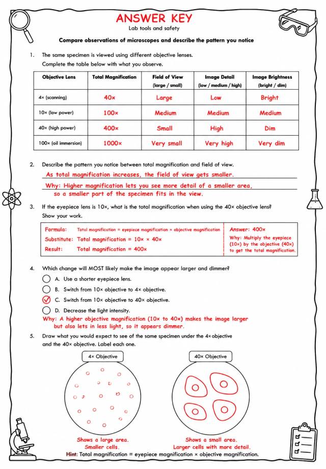 Answer key for Compare observations of microscopes and describe the pattern you notice — free printable Science worksheet