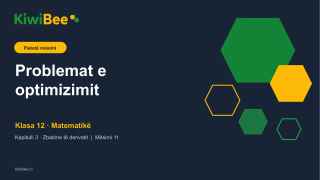 Problemat e optimizimit