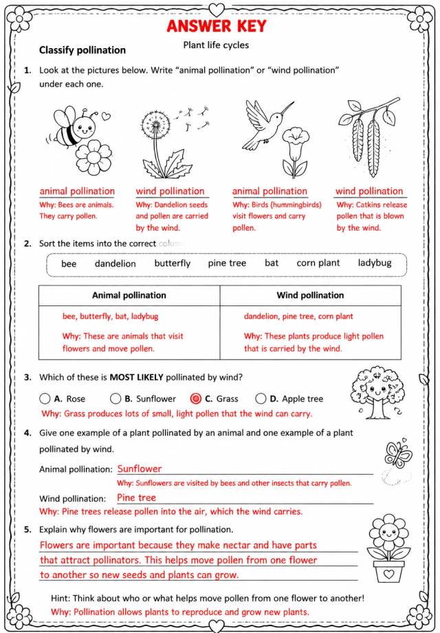 Answer key for Classify pollination — free printable Science worksheet