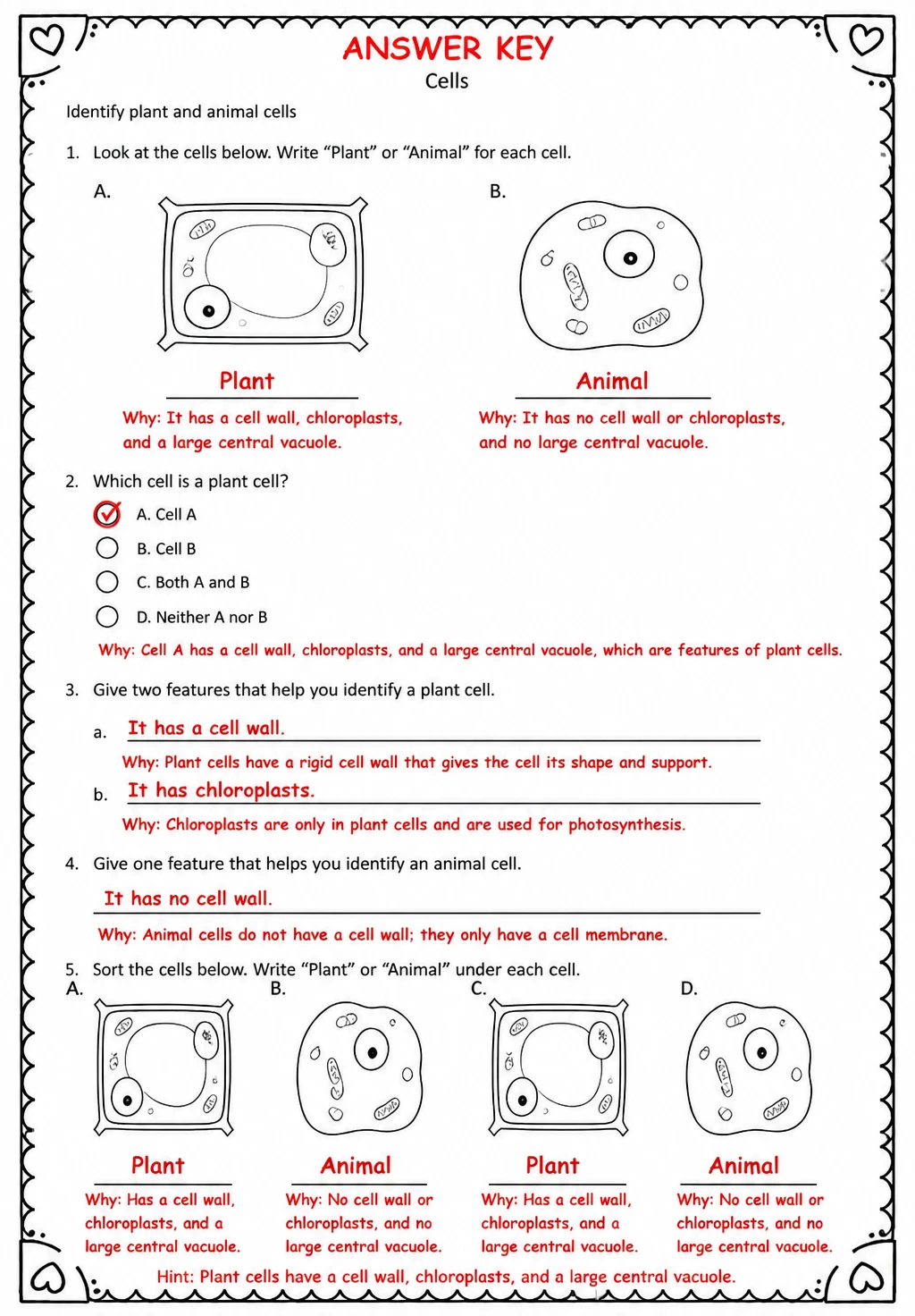 Answer key for Identify plant and animal cells — free printable Science worksheet