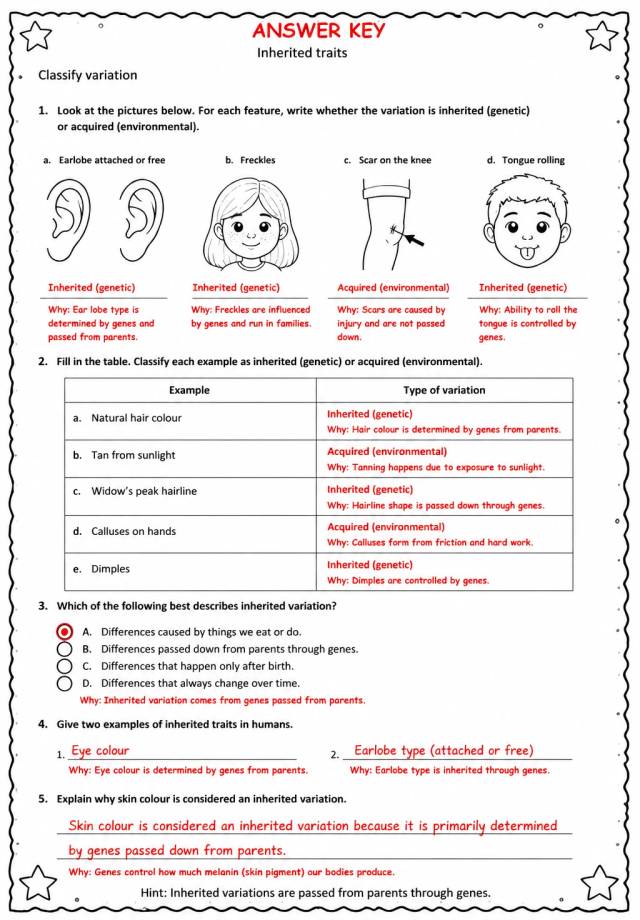 Answer key for Classify variation — free printable Science worksheet