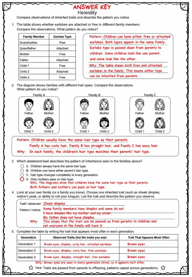 Answer key for Compare observations of inherited traits and describe the pattern you notice — free printable Science worksheet