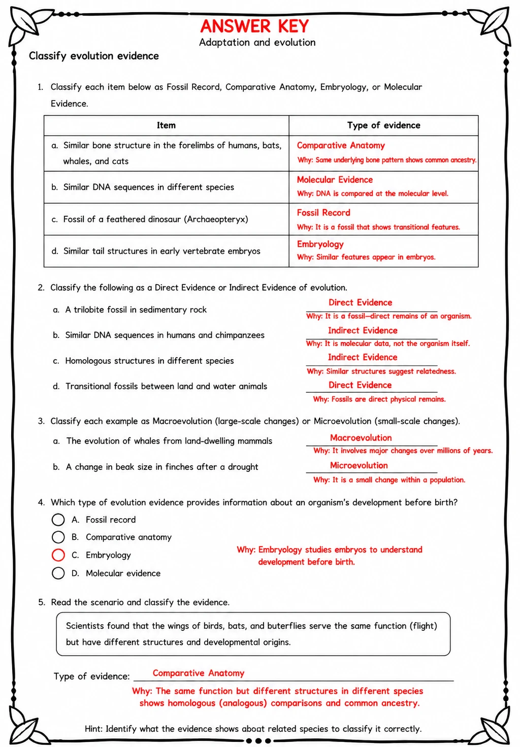 Answer key for Classify evolution evidence — free printable Science worksheet