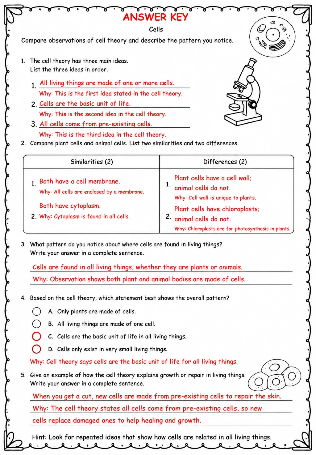 Answer key for Compare observations of cell theory and describe the pattern you notice — free printable Science worksheet