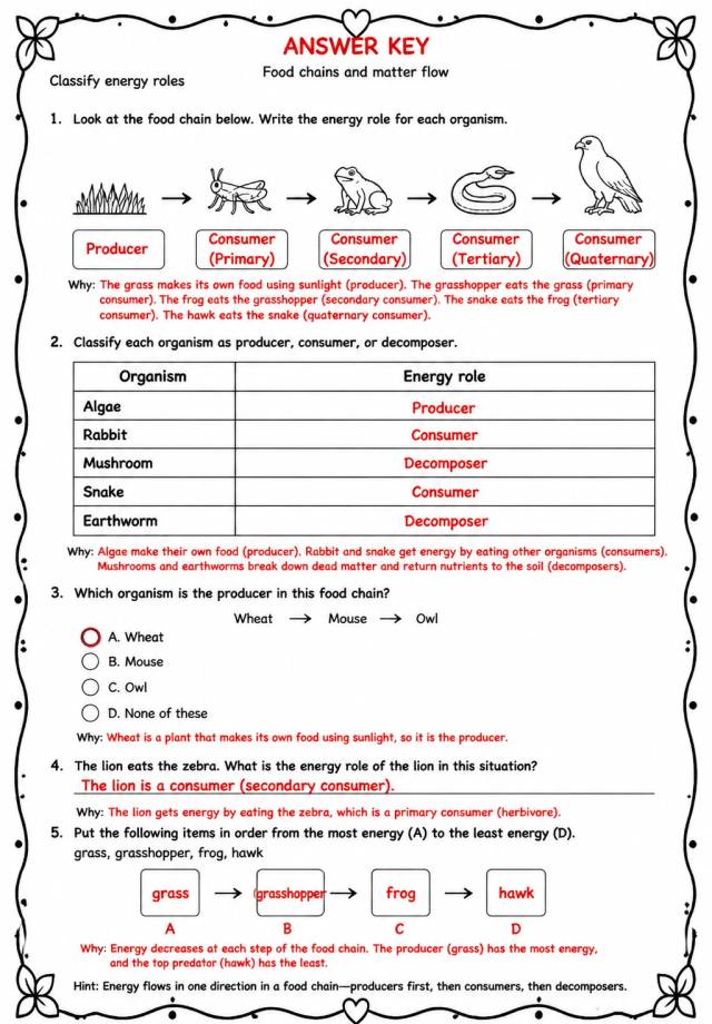 Answer key for Classify energy roles — free printable Science worksheet