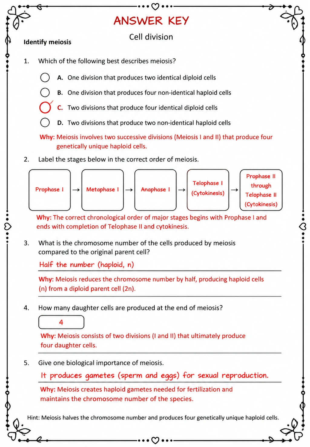 Answer key for Identify meiosis — free printable Science worksheet