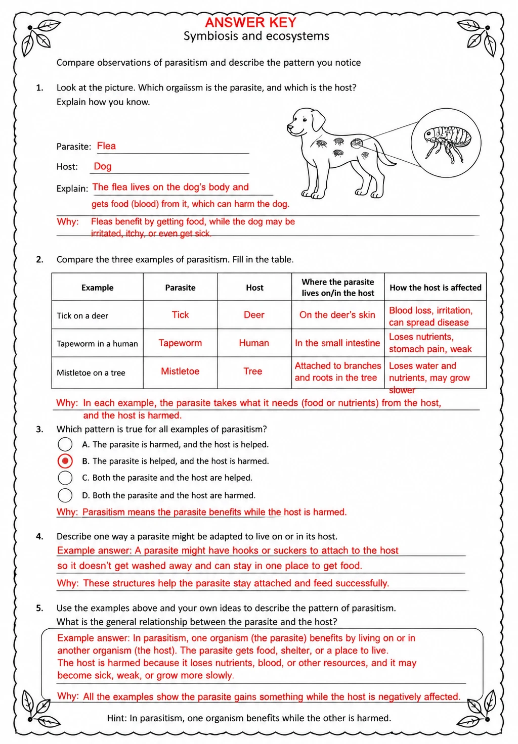 Answer key for Compare observations of parasitism and describe the pattern you notice — free printable Science worksheet