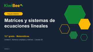 Matrices y sistemas de ecuaciones lineales
