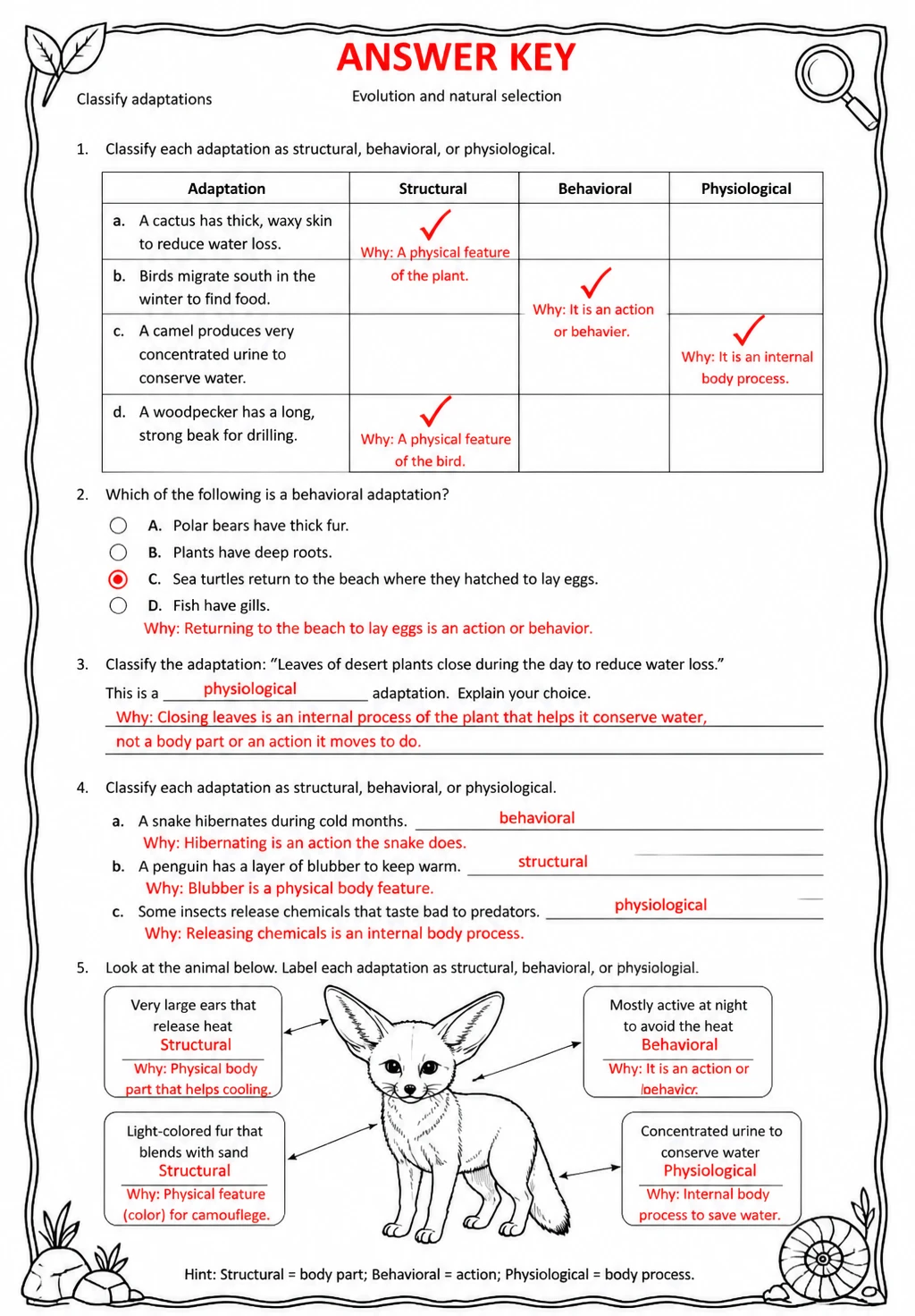 Answer key for Classify adaptations — free printable Science worksheet
