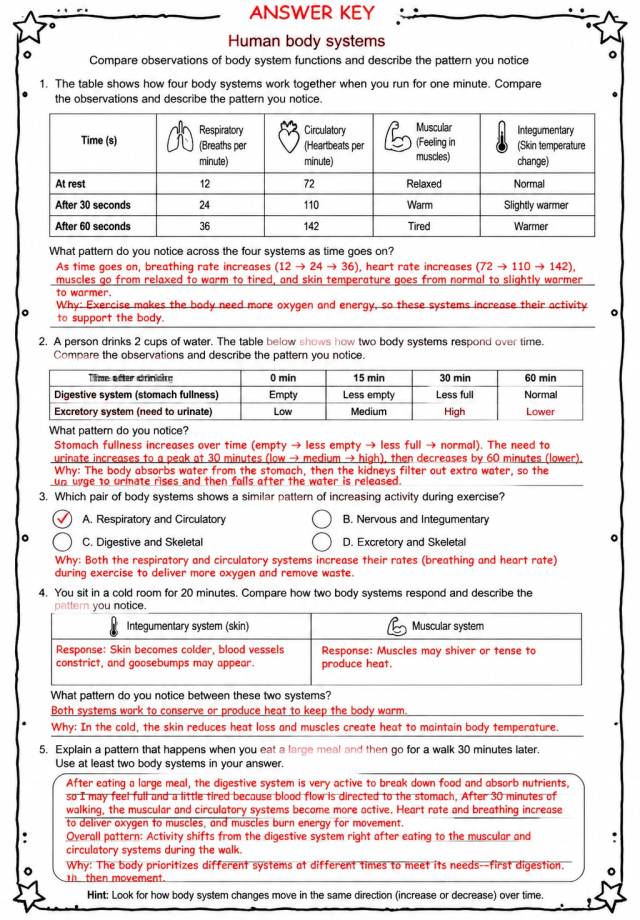 Answer key for Compare observations of body system functions and describe the pattern you notice — free printable Science worksheet