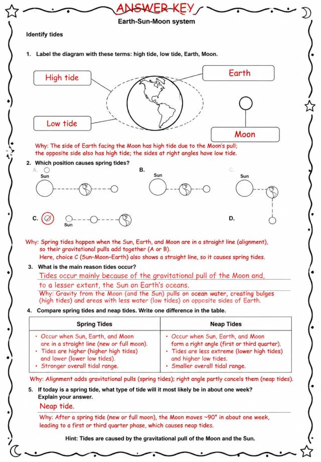 Answer key for Identify tides — free printable Science worksheet