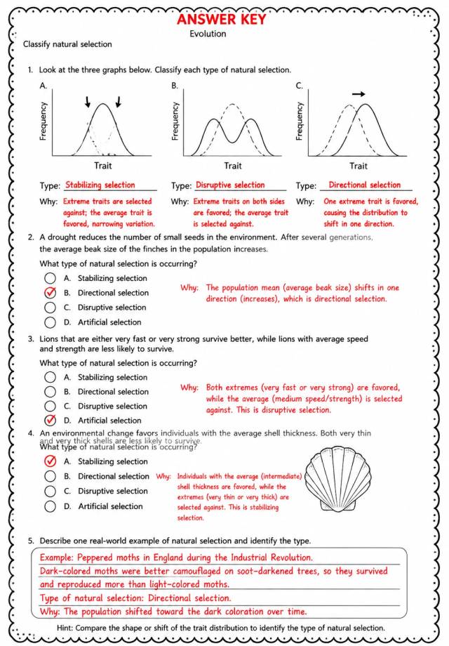 Answer key for Classify natural selection — free printable Science worksheet
