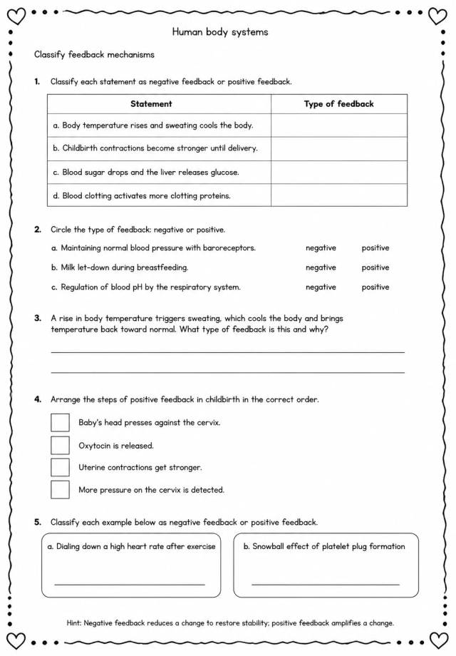 Classify feedback mechanisms — free printable Middle School Science worksheet