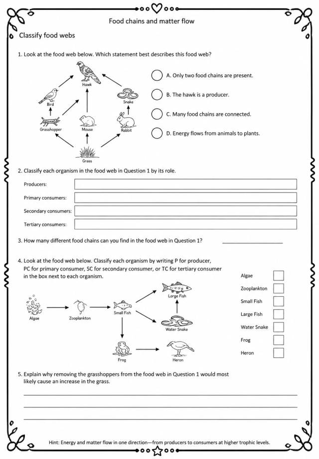 Classify food webs — free printable Grade 5 Science worksheet