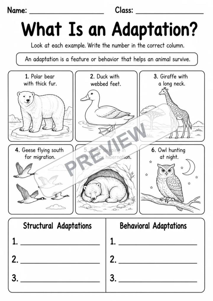 Animal Adaptations Visual Practice | 5 Worksheets | Grades 3-4 watermarked worksheet preview