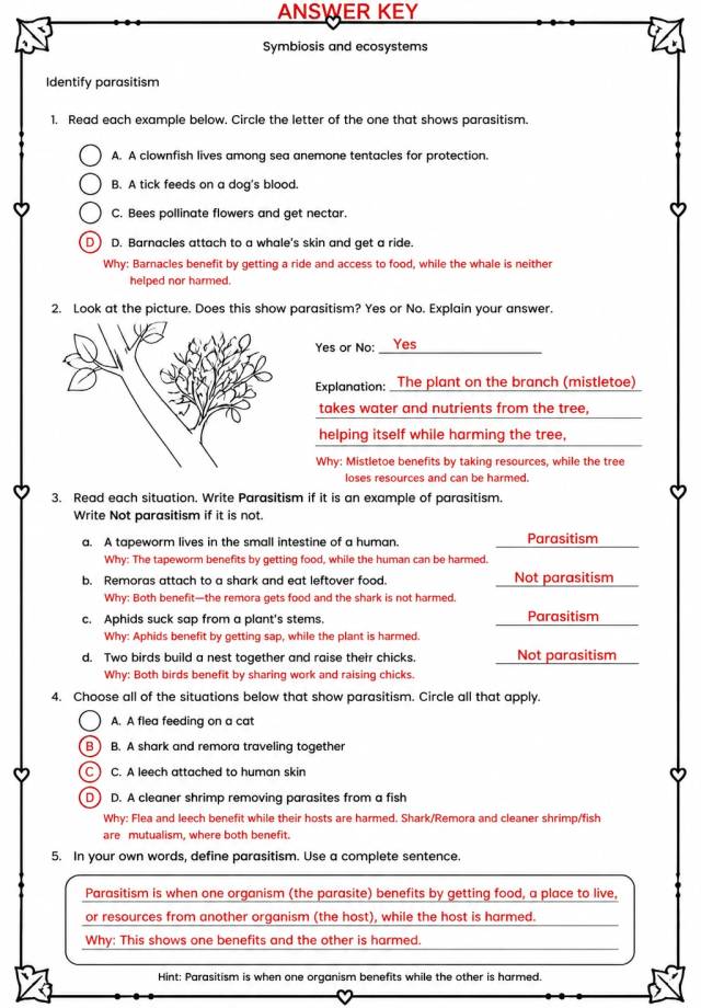 Answer key for Identify parasitism — free printable Science worksheet