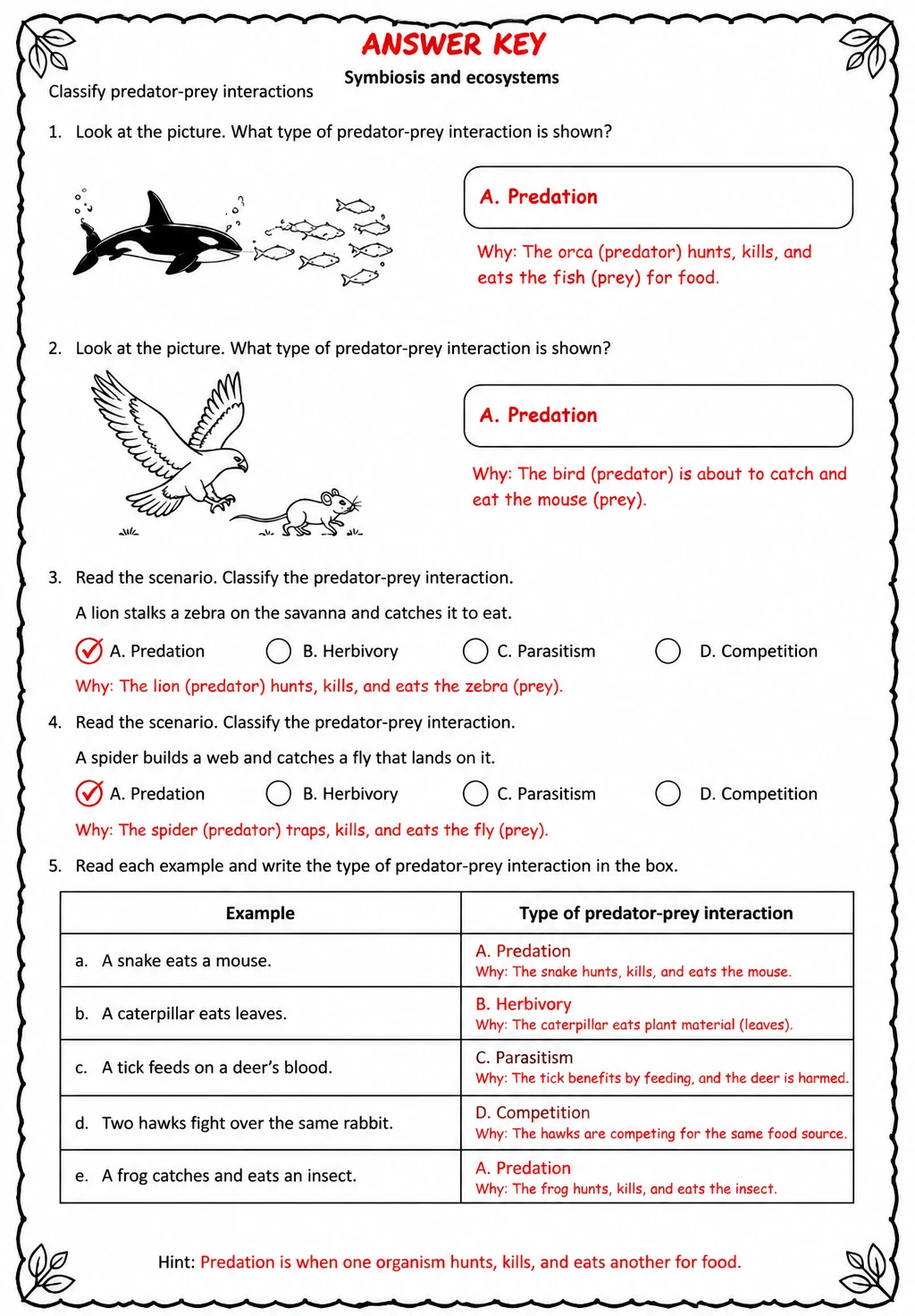 Answer key for Classify predator-prey interactions — free printable Science worksheet