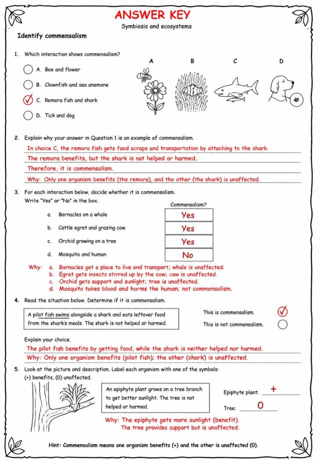 Answer key for Identify commensalism — free printable Science worksheet