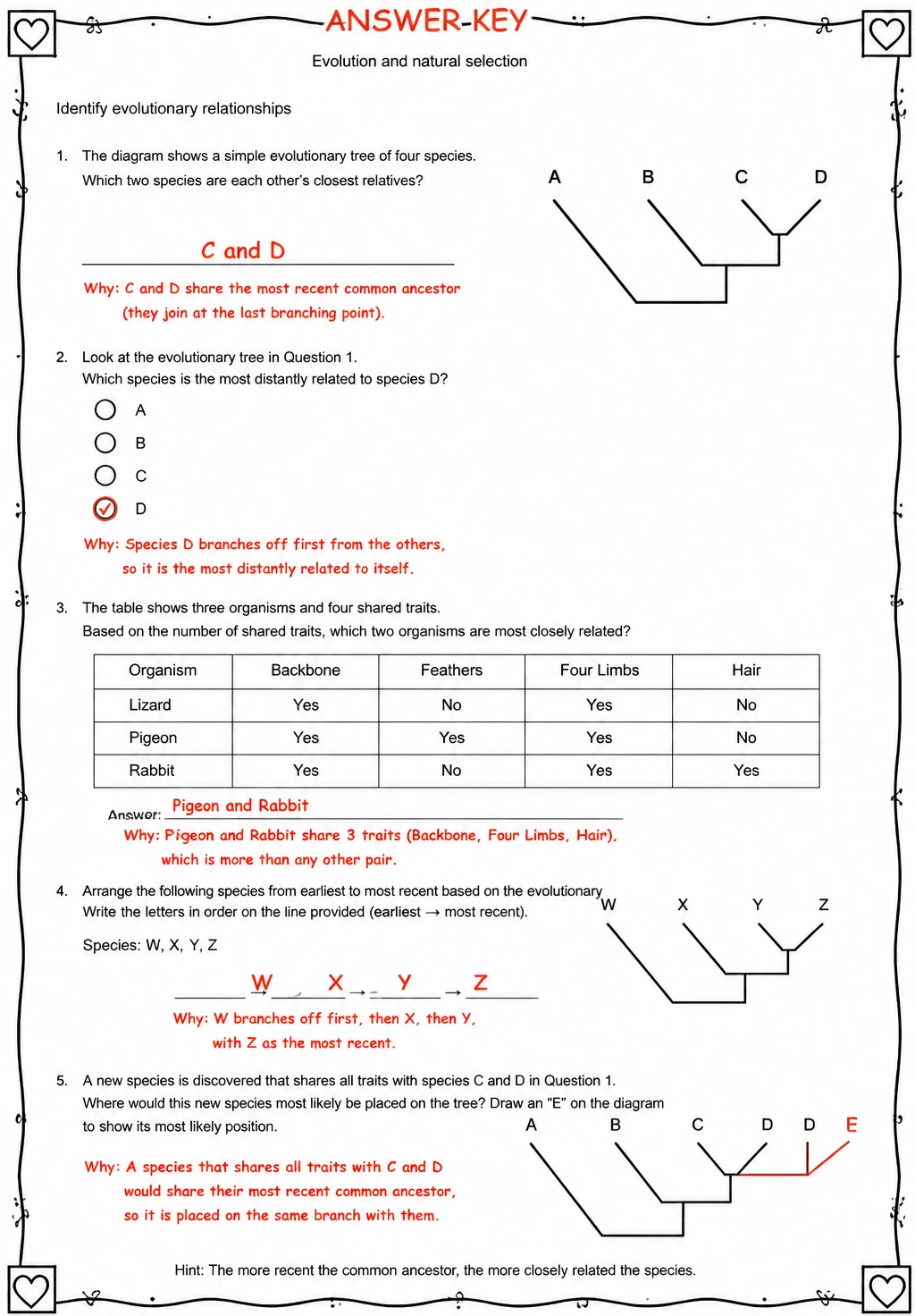 Answer key for Identify evolutionary relationships — free printable Science worksheet