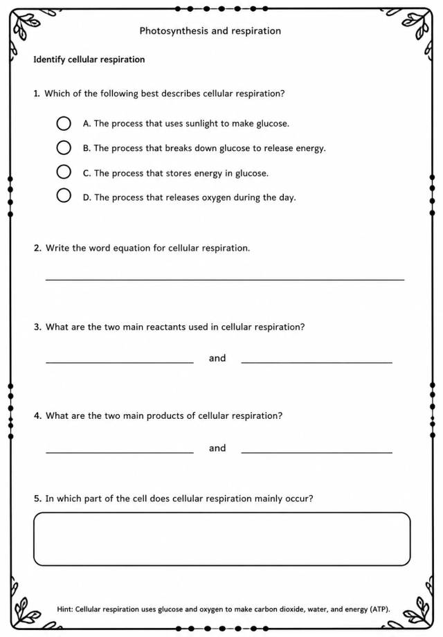 Identify cellular respiration — free printable High School Science worksheet