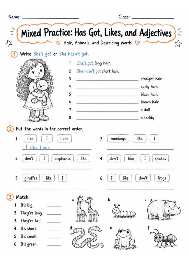 Has Got Likes and Adjectives | Grade 1 Grammar Review Worksheet grade 1 printable PDF preview