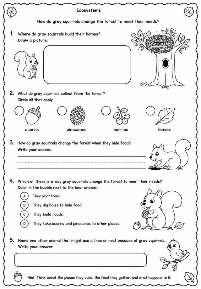 How do gray squirrels change the forest to meet their needs? — free printable Kindergarten Science worksheet
