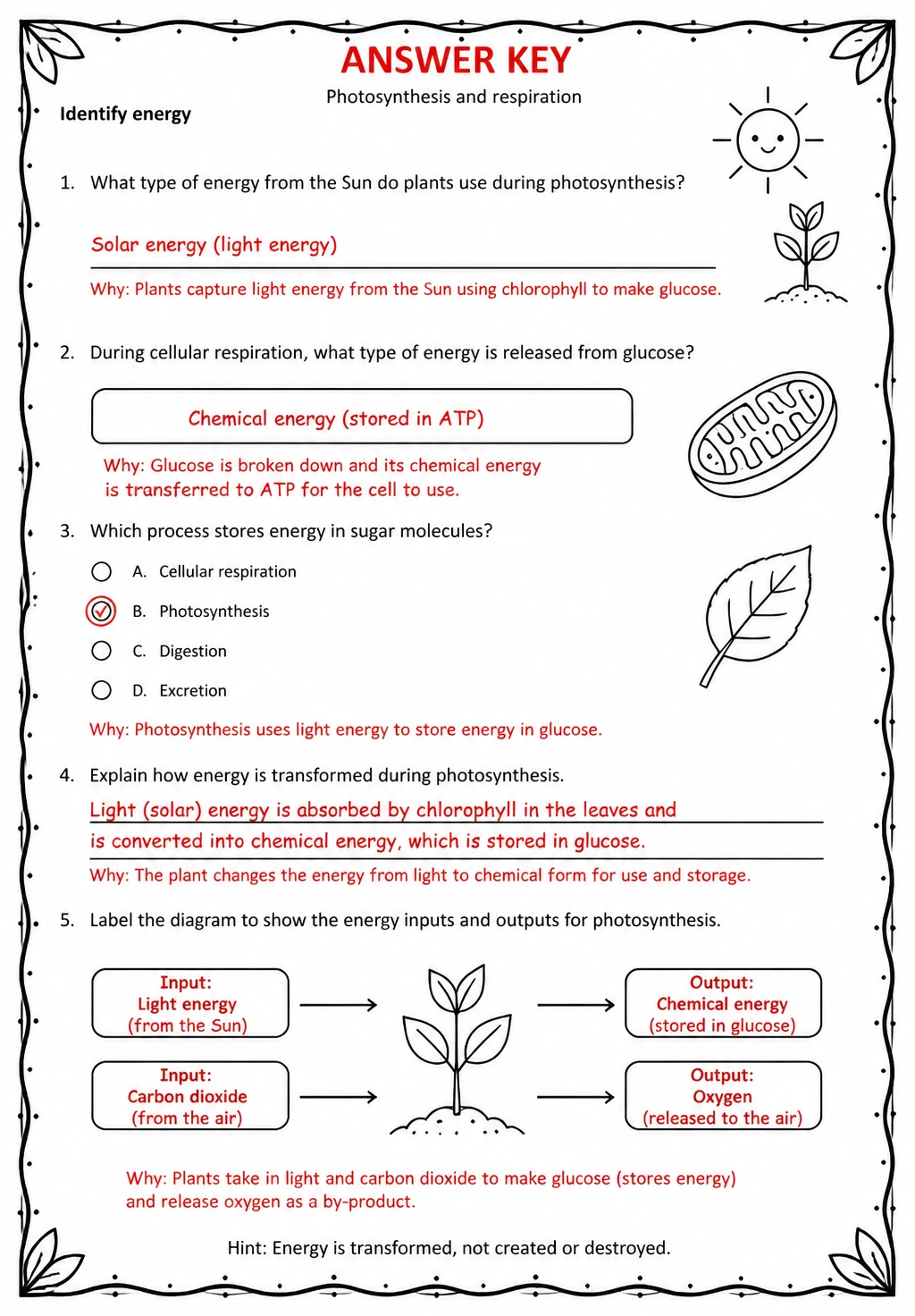 Answer key for Identify energy — free printable Science worksheet