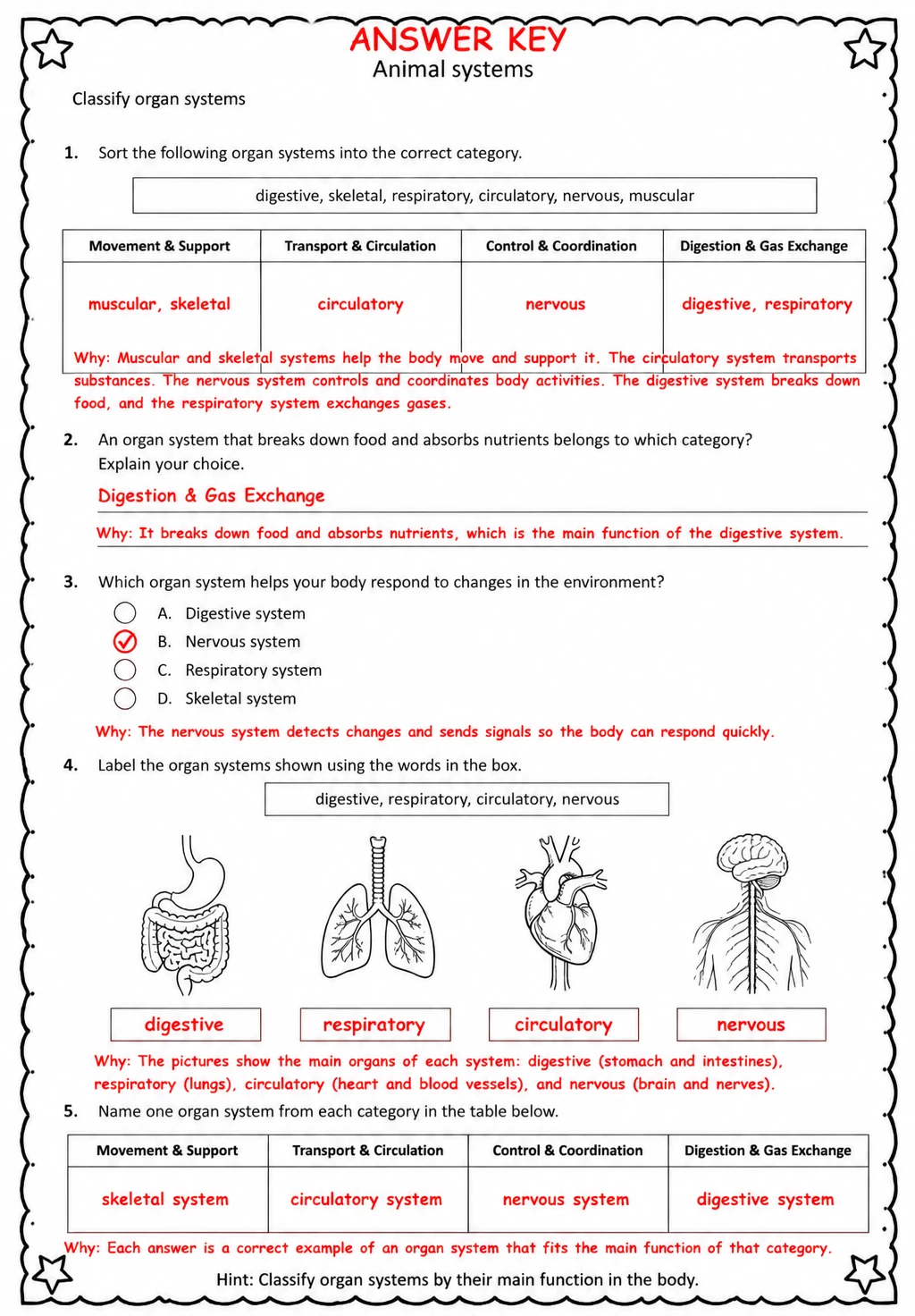 Answer key for Classify organ systems — free printable Science worksheet