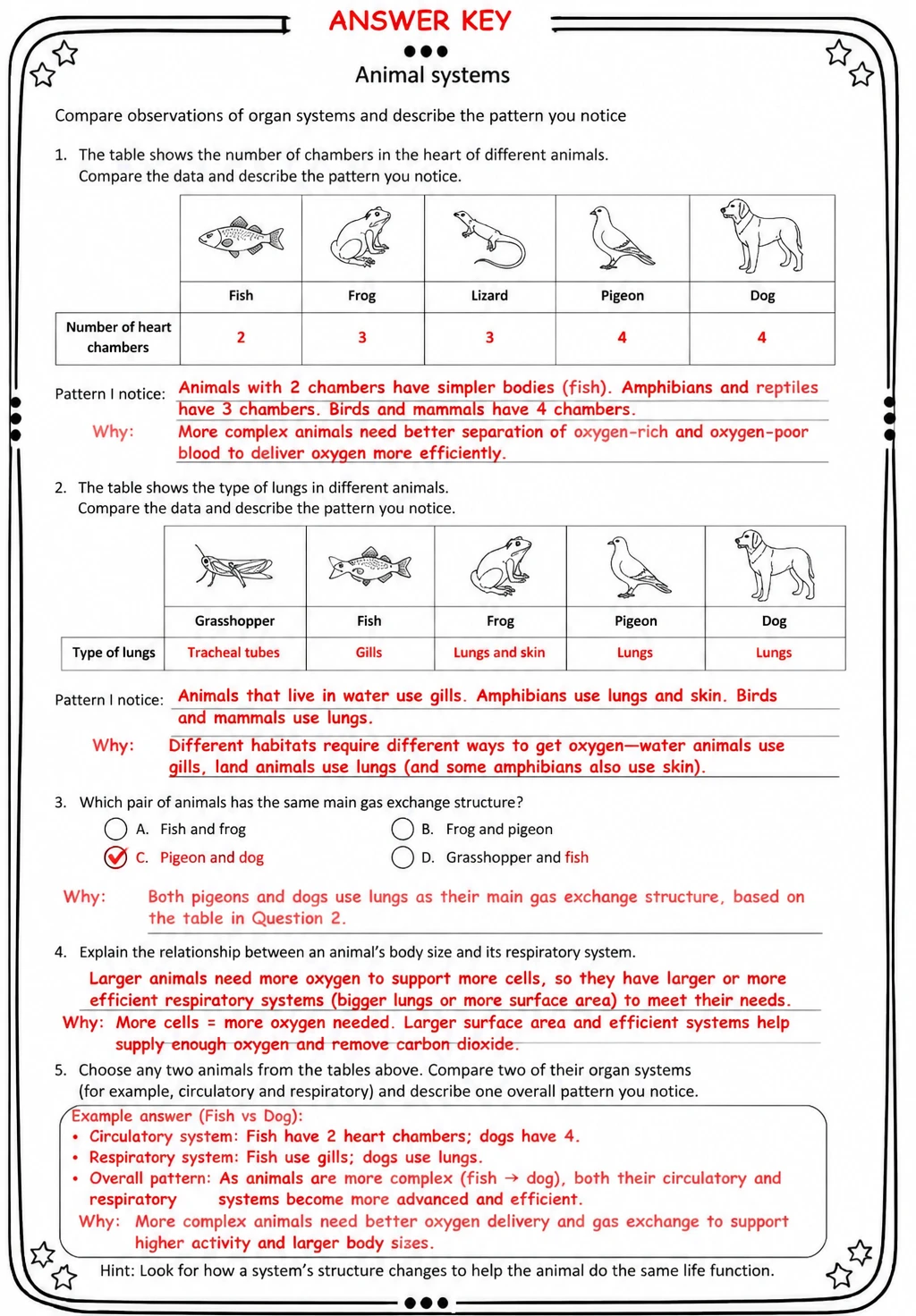 Answer key for Compare observations of organ systems and describe the pattern you notice — free printable Science worksheet