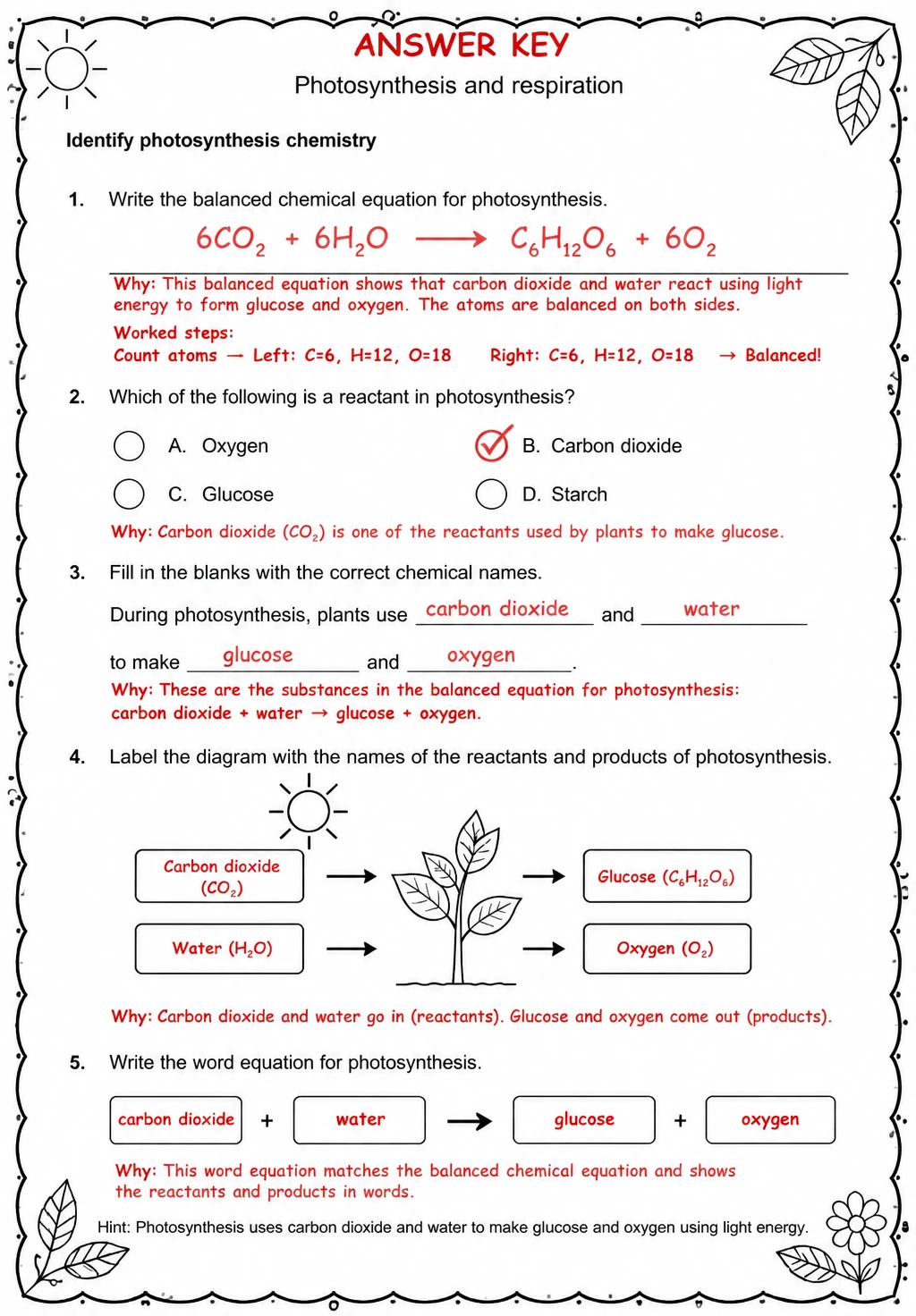 Answer key for Identify photosynthesis chemistry — free printable Science worksheet