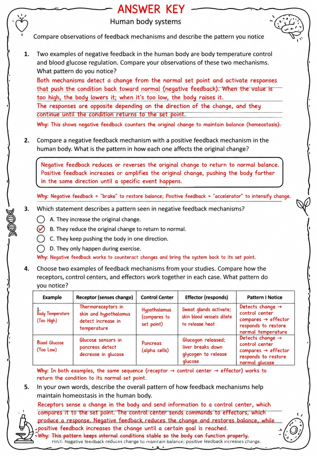 Answer key for Compare observations of feedback mechanisms and describe the pattern you notice — free printable Science worksheet