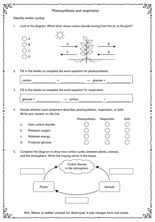 Identify matter cycling — free printable Middle School Science worksheet