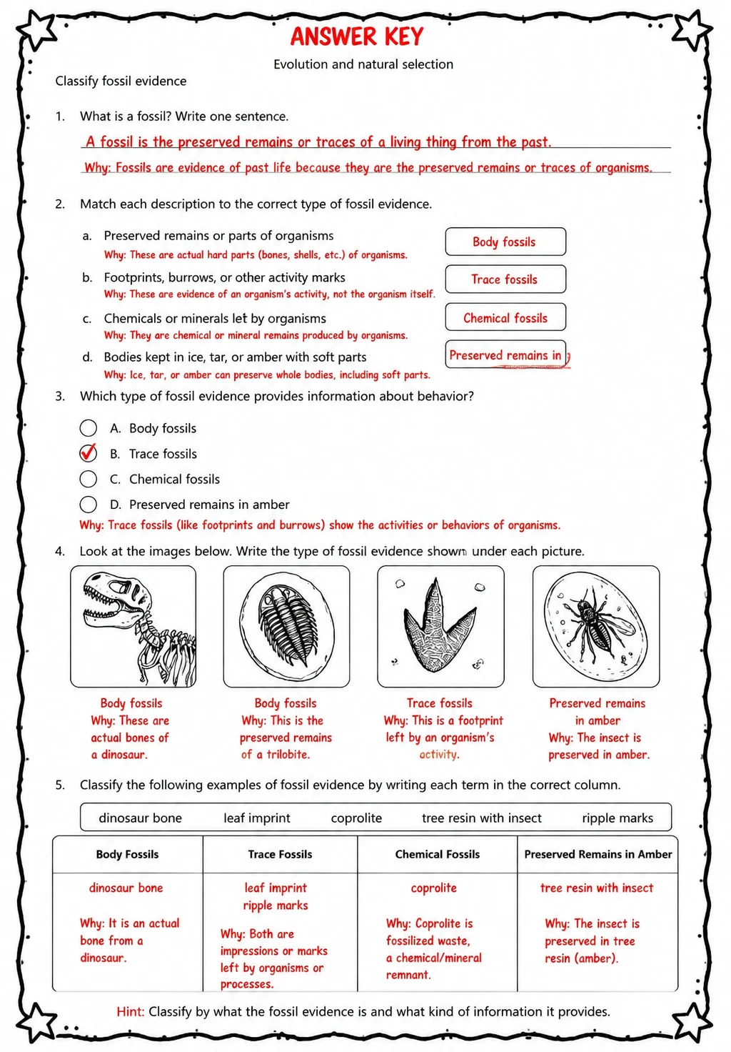 Answer key for Classify fossil evidence — free printable Science worksheet