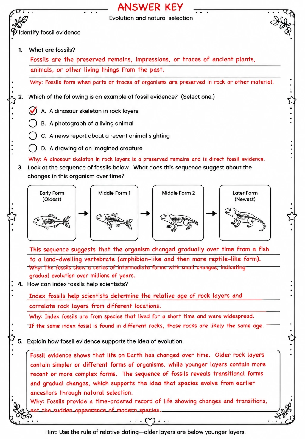 Answer key for Identify fossil evidence — free printable Science worksheet