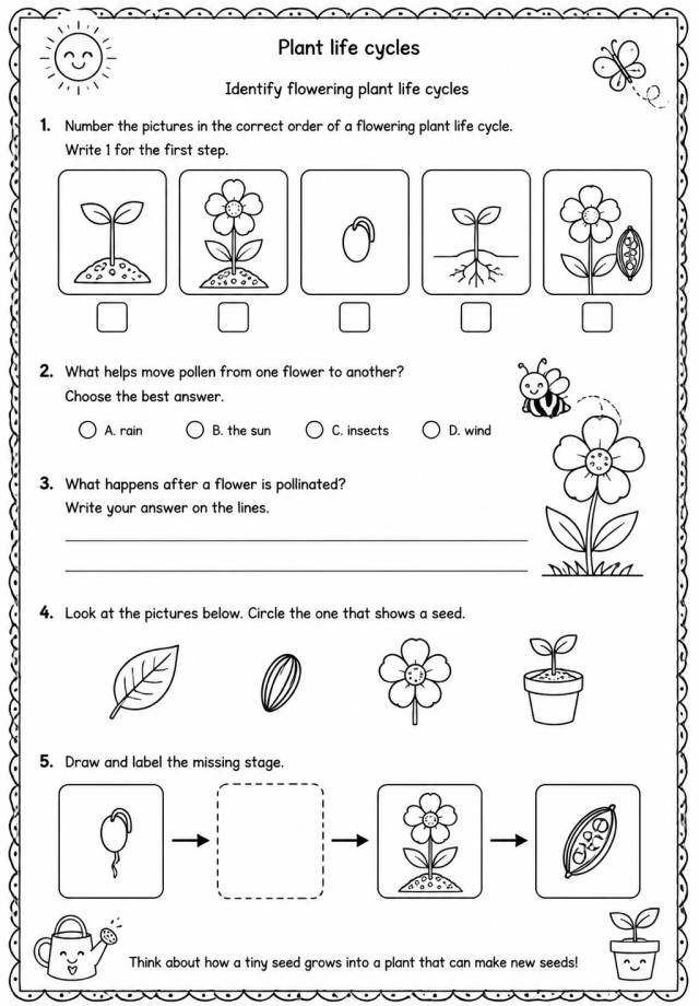 Identify flowering plant life cycles — free printable Grade 4 Science worksheet