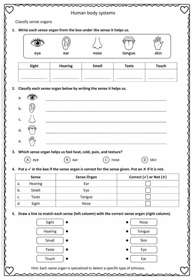 Classify sense organs — free printable Grade 5 Science worksheet