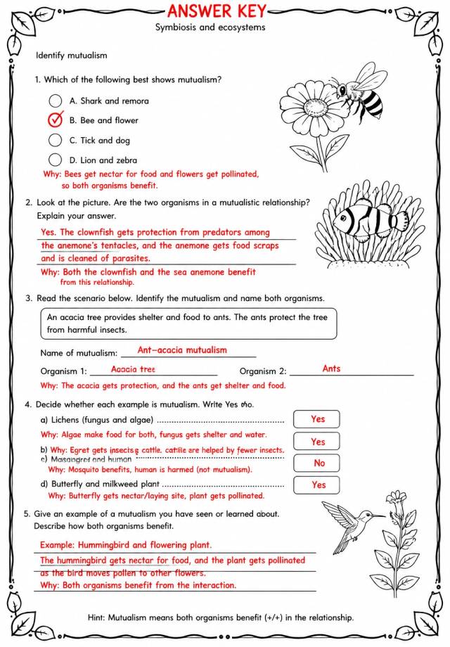 Answer key for Identify mutualism — free printable Science worksheet