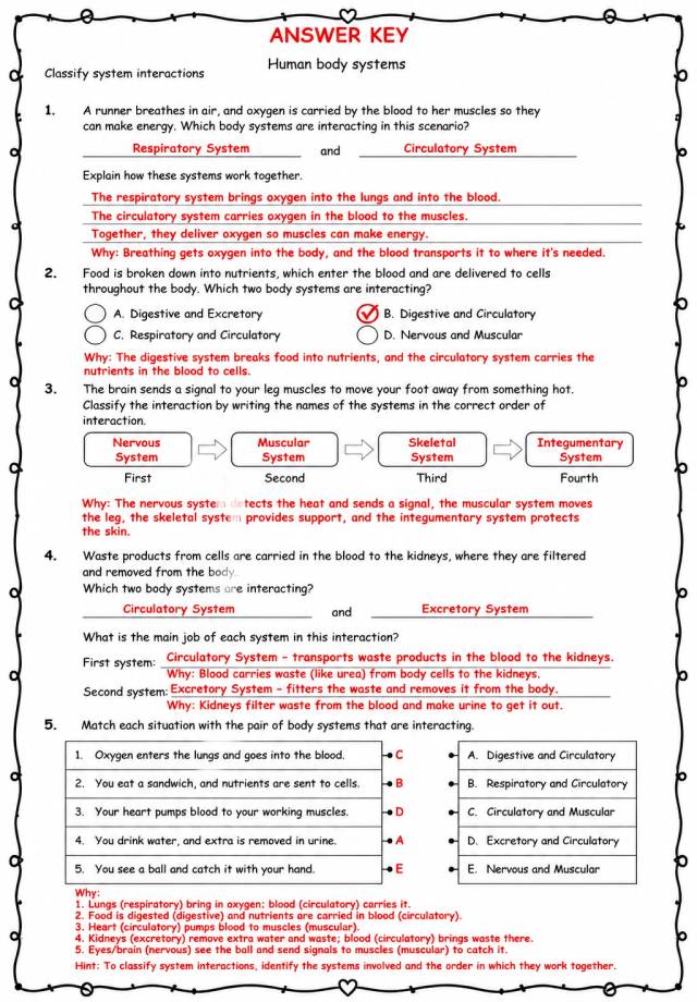 Answer key for Classify system interactions — free printable Science worksheet