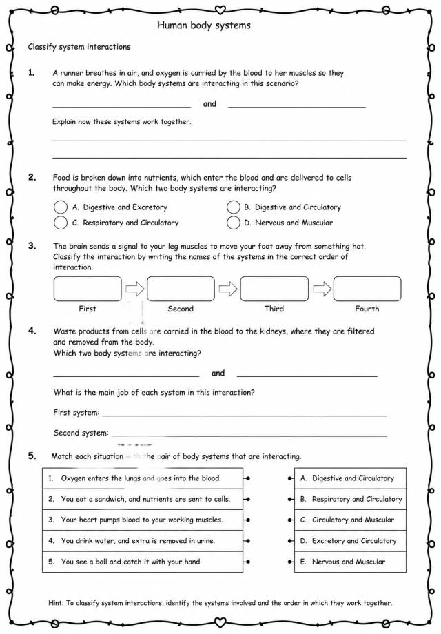 Classify system interactions — free printable Grade 5 Science worksheet
