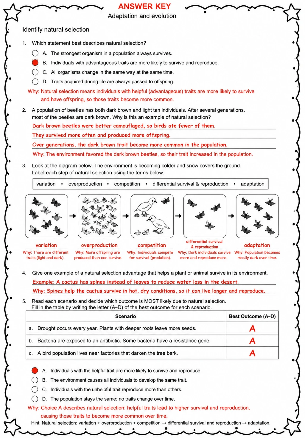 Answer key for Identify natural selection — free printable Science worksheet