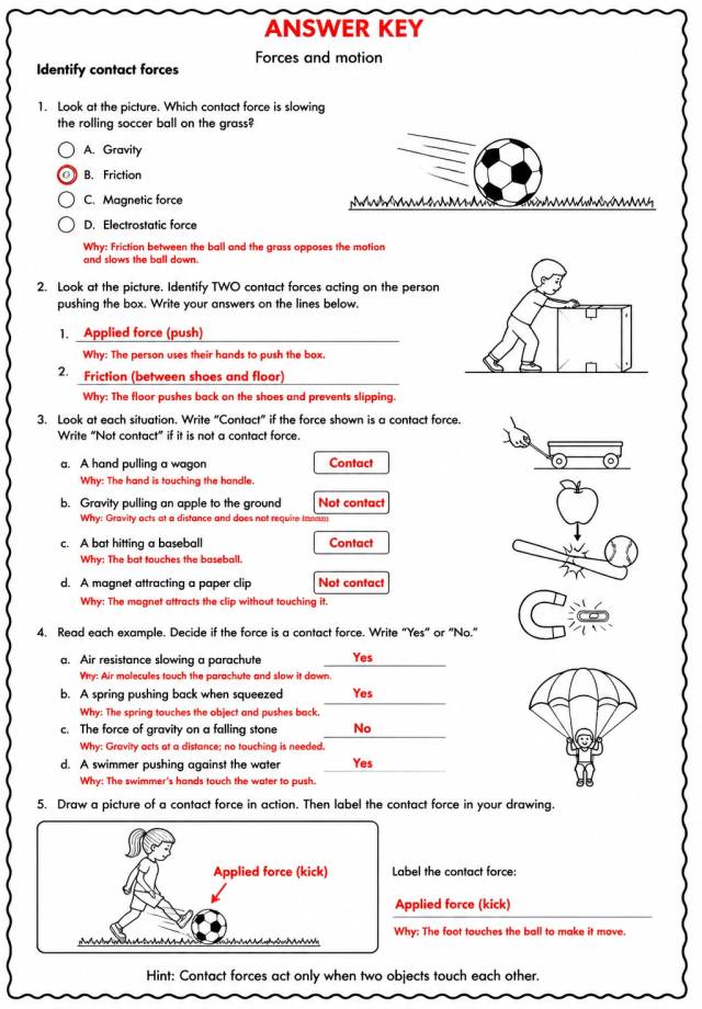 Answer key for Identify contact forces — free printable Science worksheet