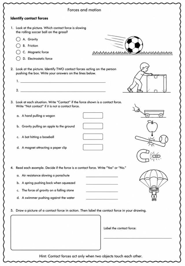 Identify contact forces — free printable Grade 5 Science worksheet