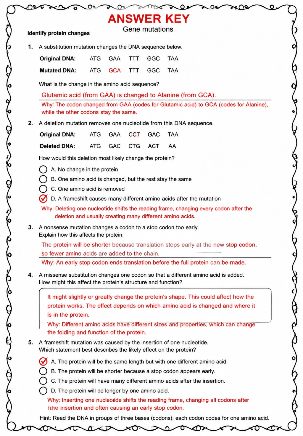 Answer key for Identify protein changes — free printable Science worksheet