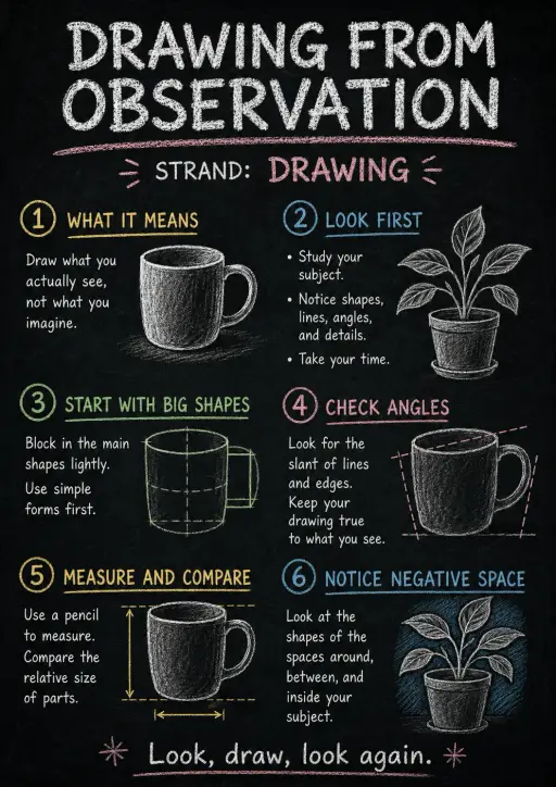 Drawing From Observation Infographic