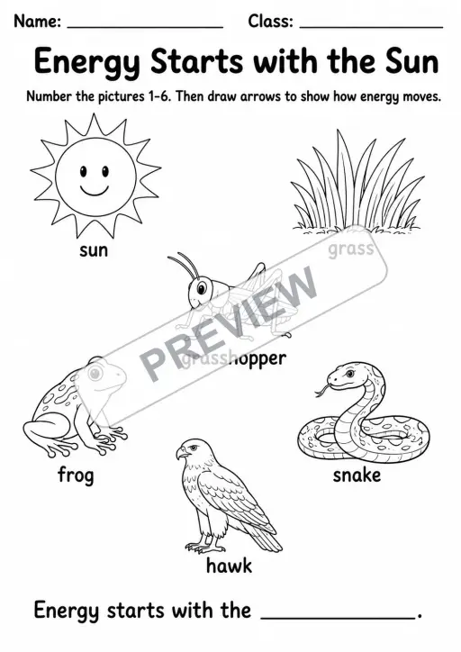 Food Chains and Food Webs Pack | 7 Worksheets | Grades 3-5