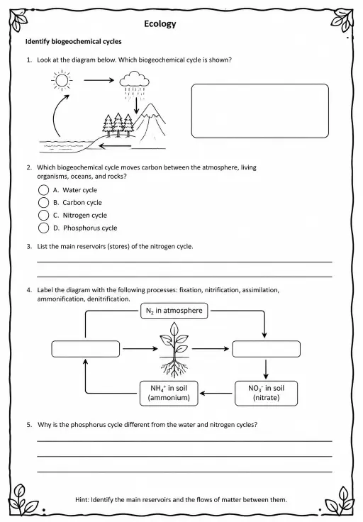 Identify biogeochemical cycles