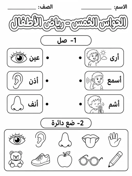 الحواس الخمس - رياض الأطفال