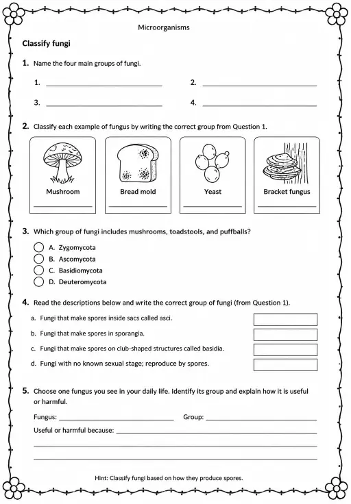 Classify fungi